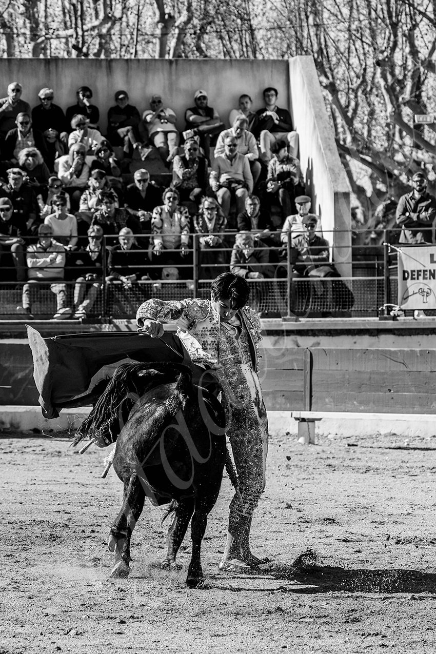 20250330 nsp bellegarde by alfaduende 014 fd