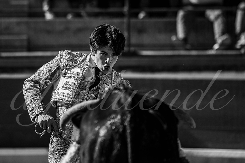 20250330 nsp bellegarde by alfaduende 013 fd