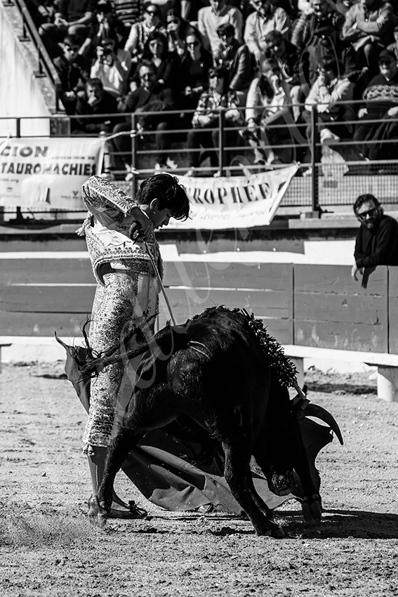 20250330 nsp bellegarde by alfaduende 012 fd