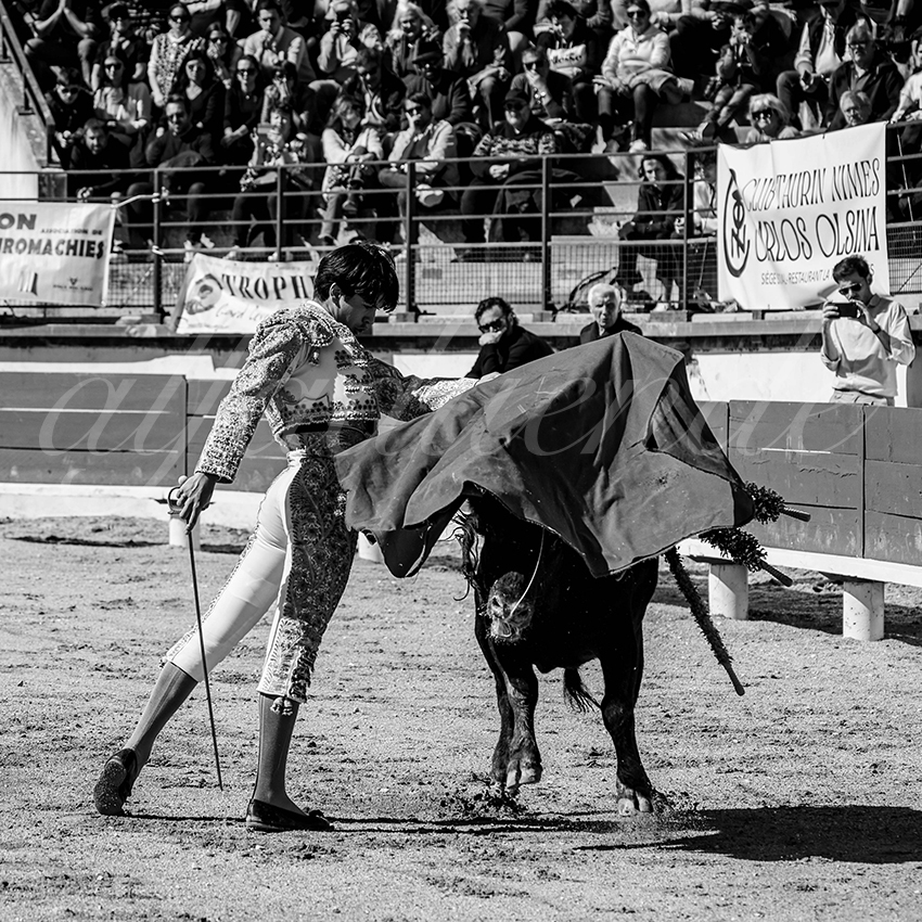 20250330 nsp bellegarde by alfaduende 010 fd