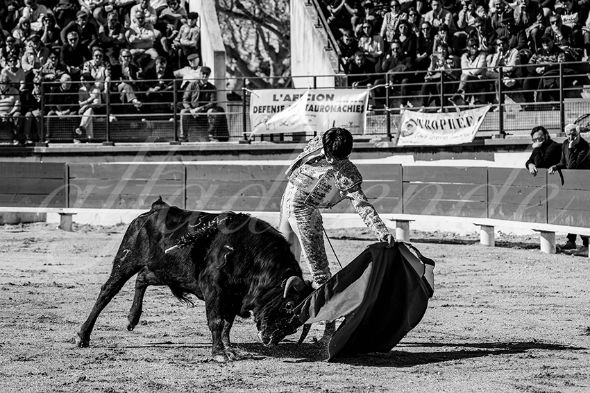 20250330 nsp bellegarde by alfaduende 009 fd