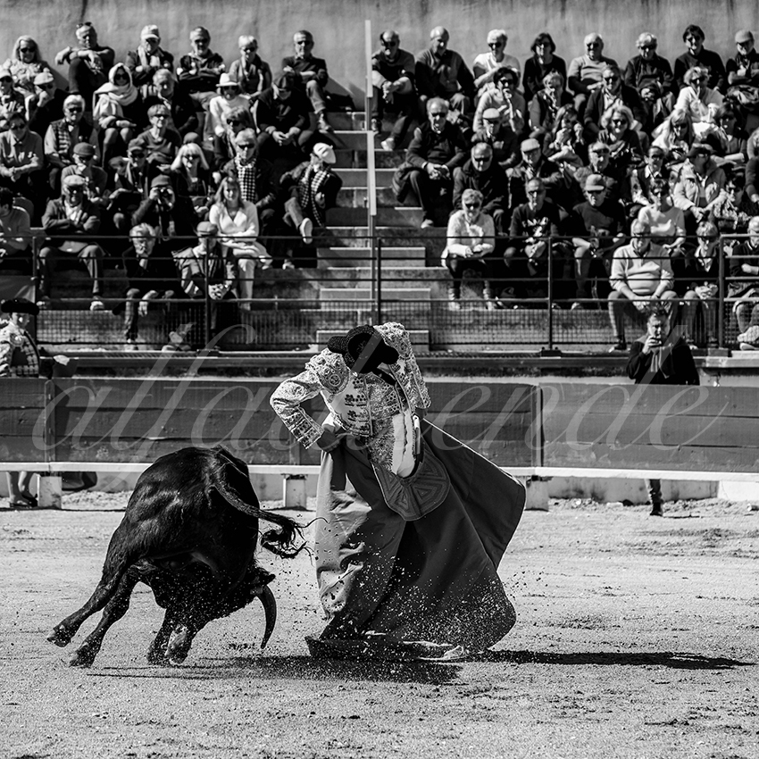 20250330 nsp bellegarde by alfaduende 008 fd