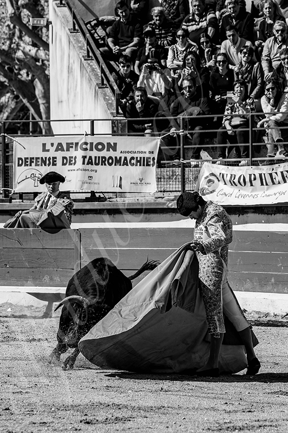 20250330 nsp bellegarde by alfaduende 007 fd