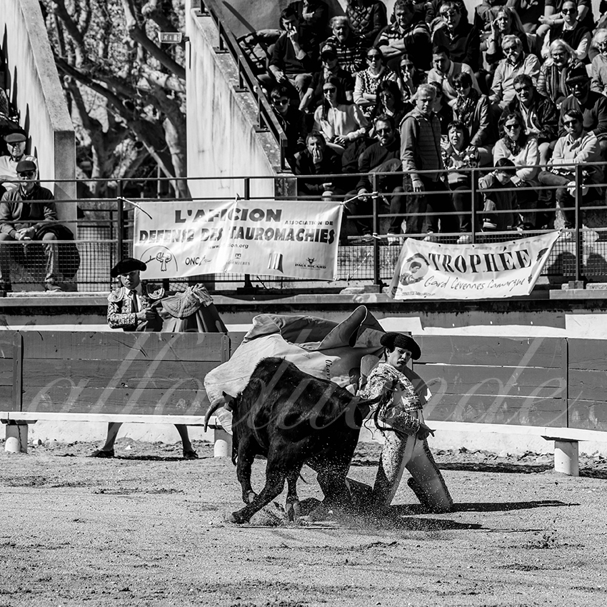 20250330 nsp bellegarde by alfaduende 006 fd