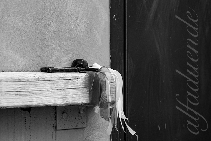 20250405 st martin de crau 024 fd