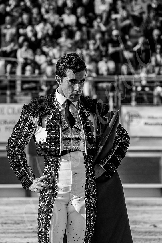 20250405 st martin de crau 023 fd