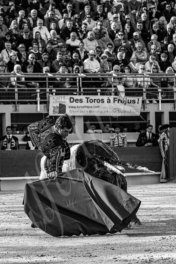 20250405 st martin de crau 021 fd