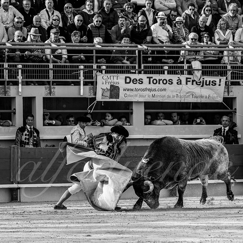 20250405 st martin de crau 019 fd