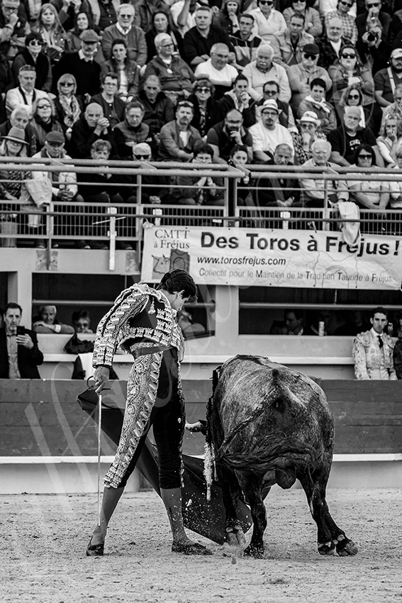 20250405 st martin de crau 018 fd