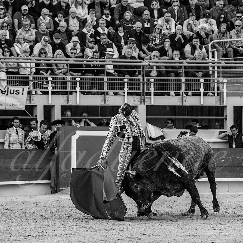 20250405 st martin de crau 017 fd