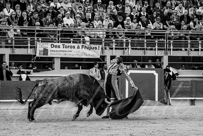 20250405 st martin de crau 016 fd