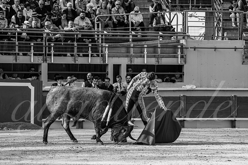 20250405 st martin de crau 015 fd