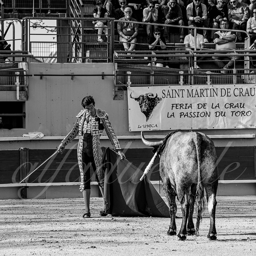 20250405 st martin de crau 014 fd