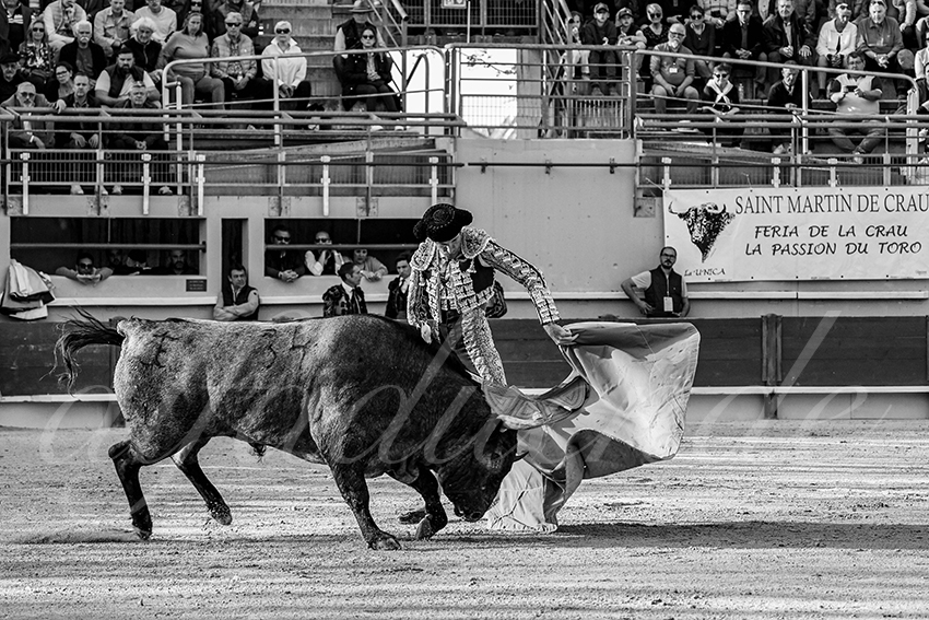 20250405 st martin de crau 013 fd