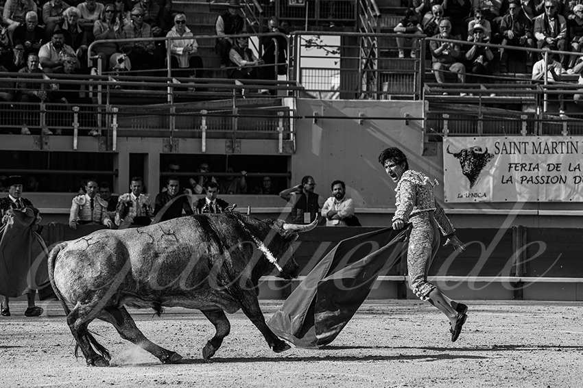 20250405 st martin de crau 011 fd