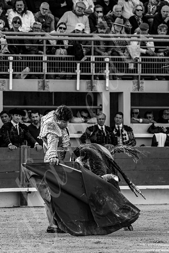 20250405 st martin de crau 010 fd