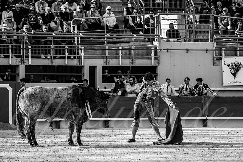 20250405 st martin de crau 008 fd