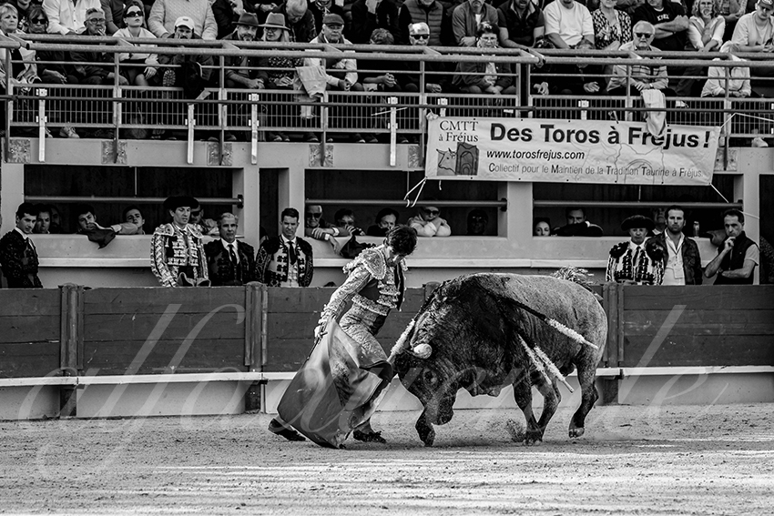 20250405 st martin de crau 007 fd