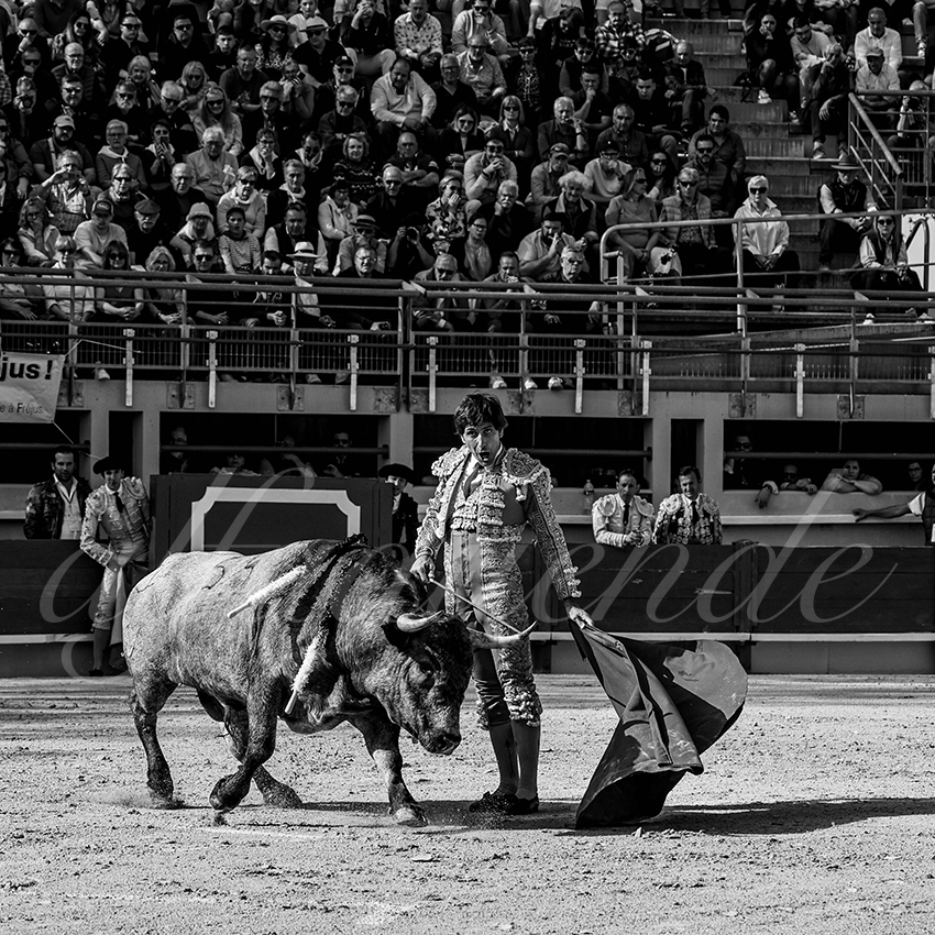 20250405 st martin de crau 006 fd