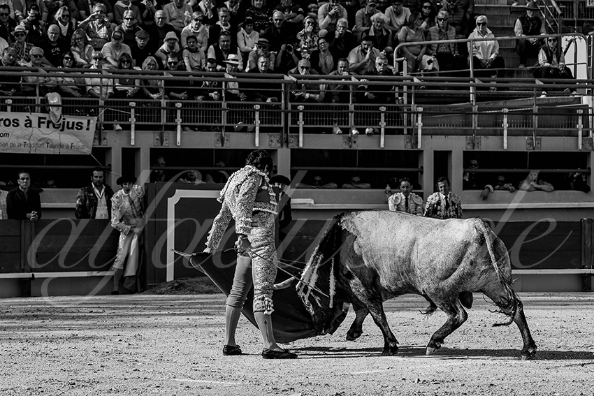 20250405 st martin de crau 005 fd