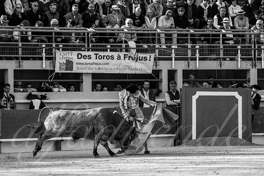 20250405 st martin de crau 003 fd