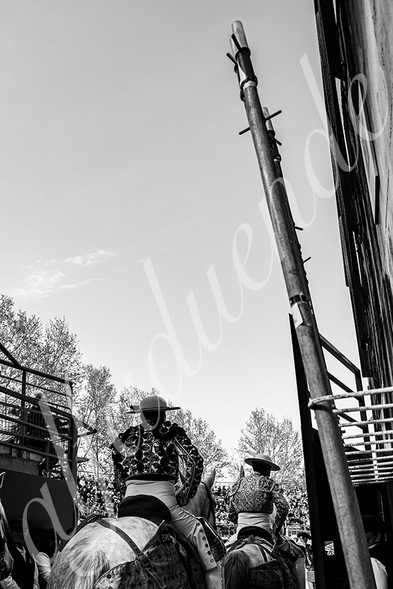 20250405 st martin de crau 002 fd