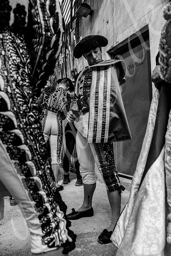 20250405 st martin de crau 001 fd