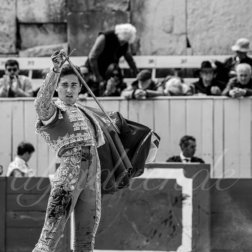 20250419 nov arles 025 fd