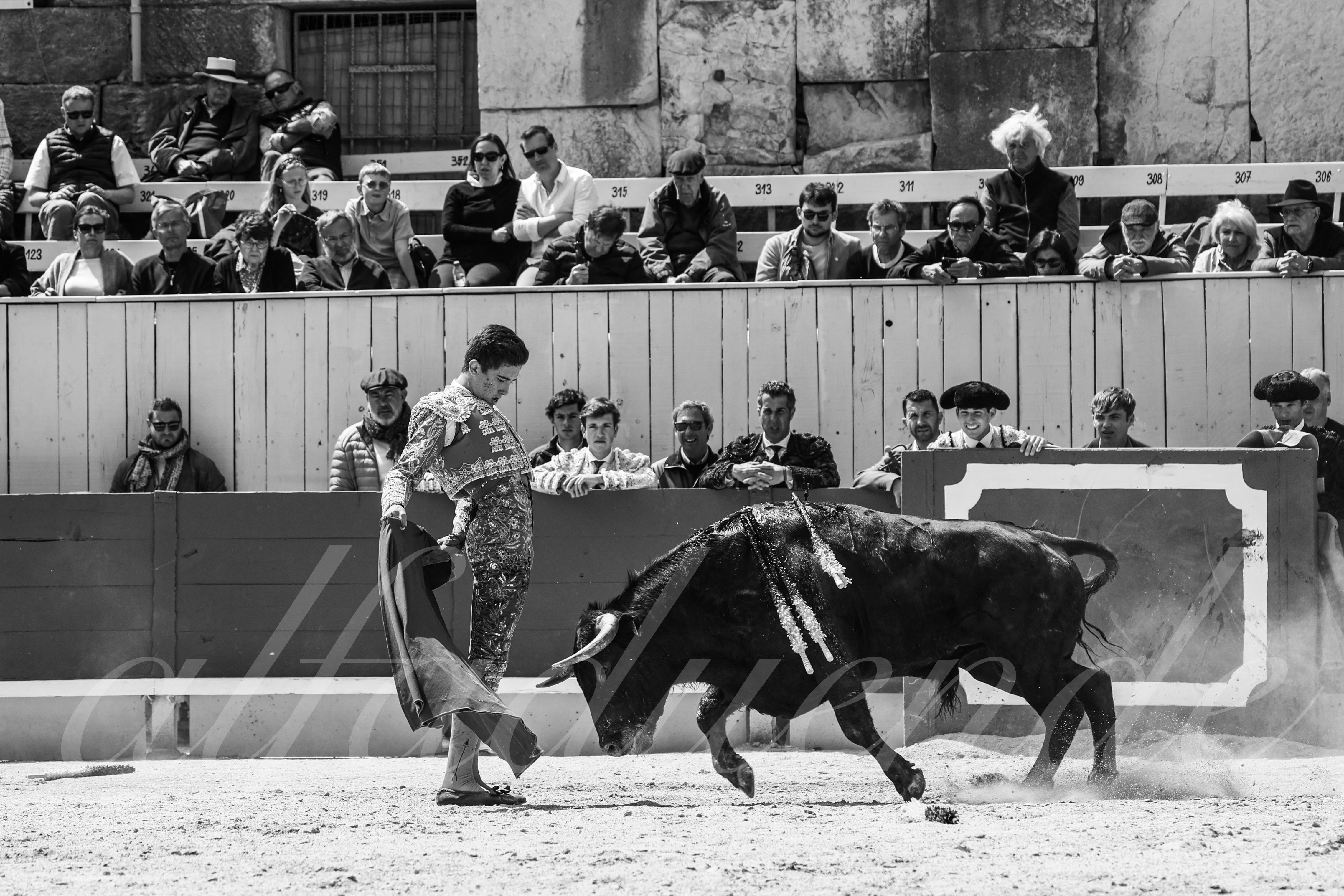 20250419 nov arles 024 fd