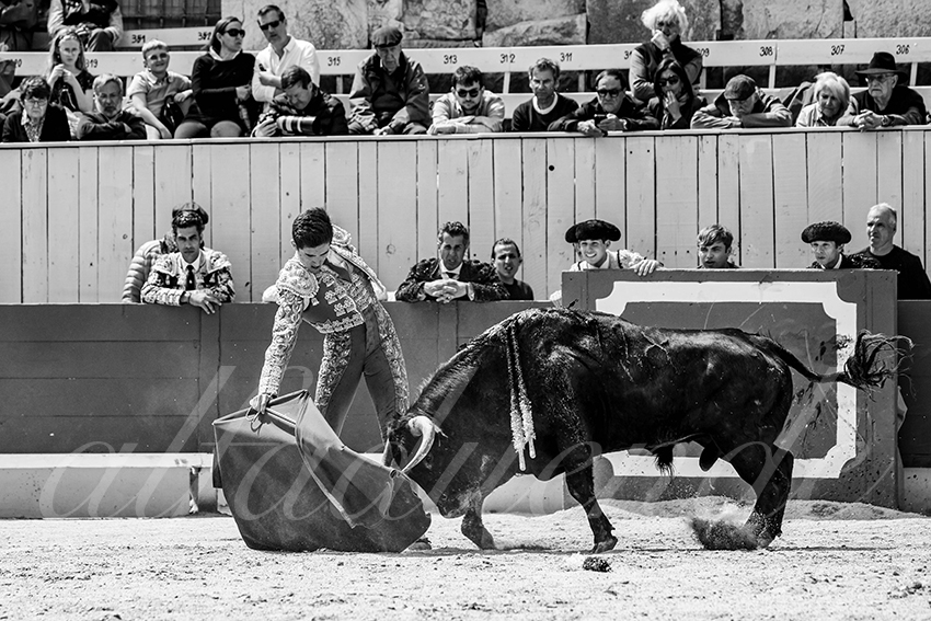 20250419 nov arles 023 fd