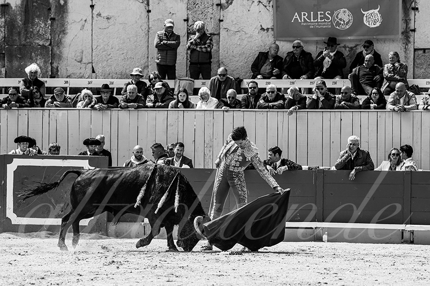 20250419 nov arles 022 fd