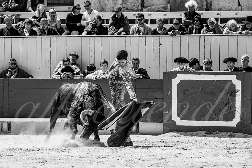 20250419 nov arles 021 fd