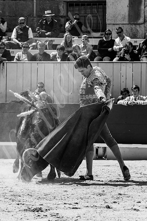 20250419 nov arles 020 fd