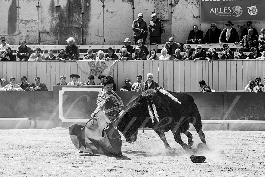 20250419 nov arles 019 fd