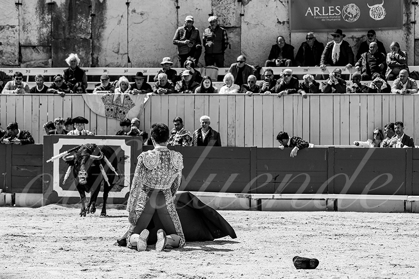 20250419 nov arles 018 fd