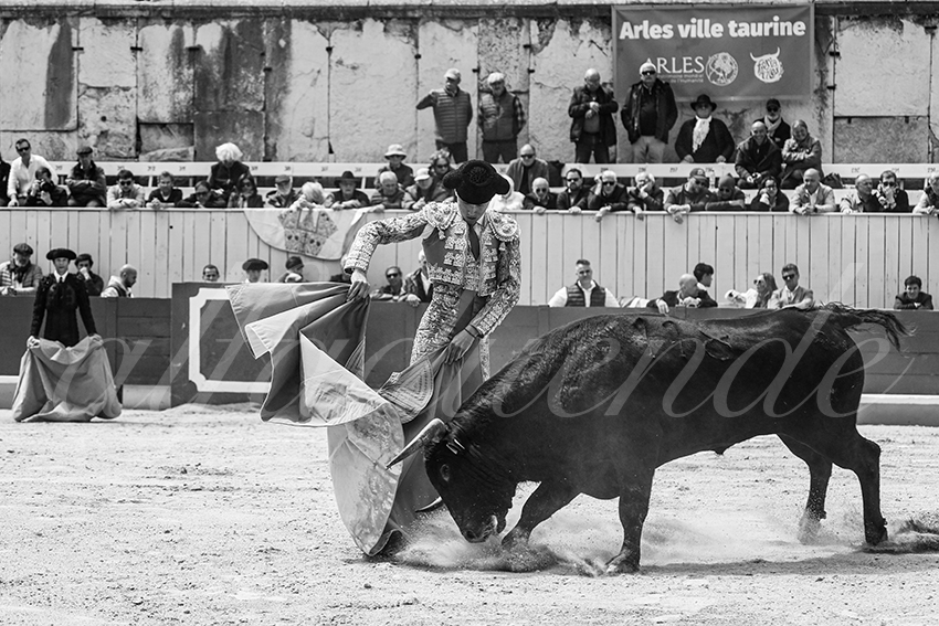 20250419 nov arles 017 fd