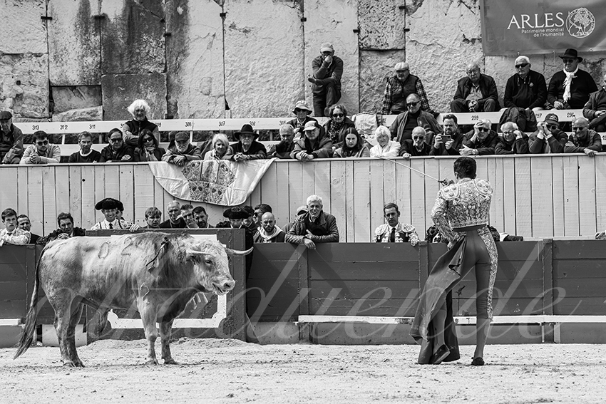 20250419 nov arles 015 fd