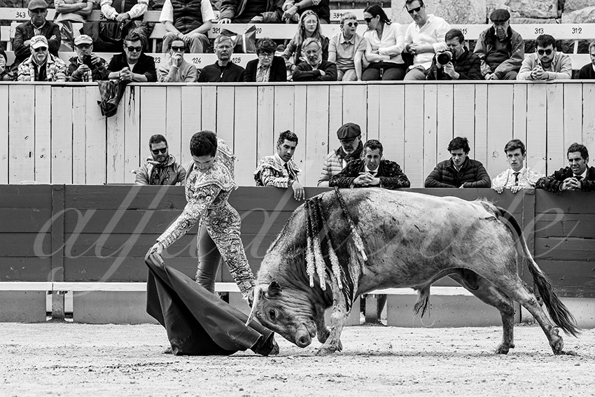 20250419 nov arles 014 fd