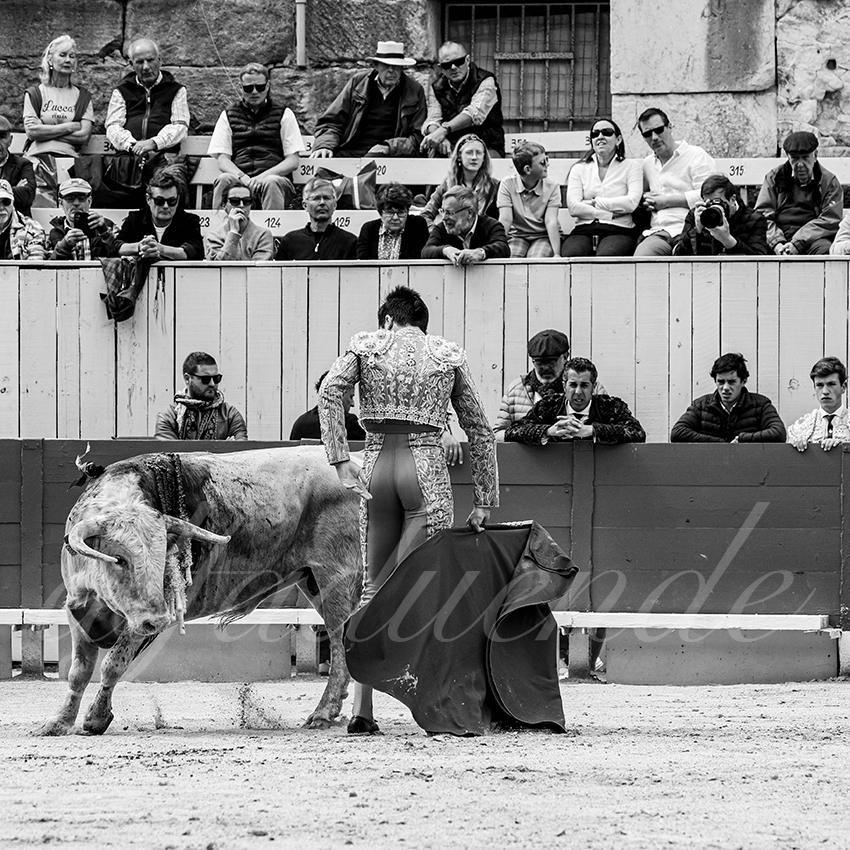 20250419 nov arles 013 fd