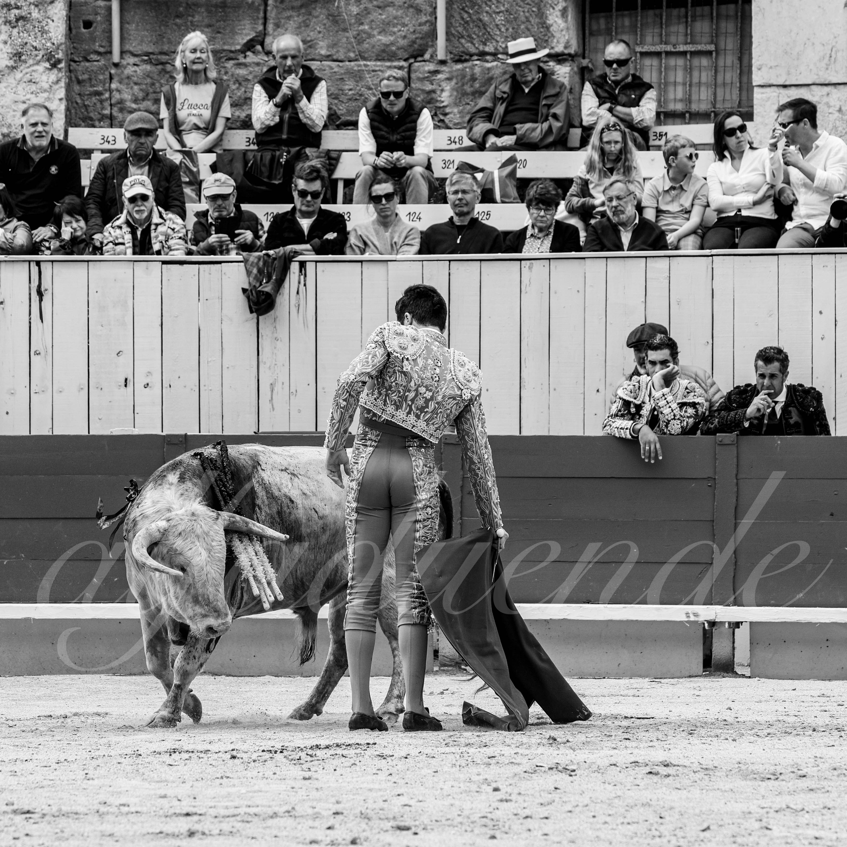 20250419 nov arles 012 fd