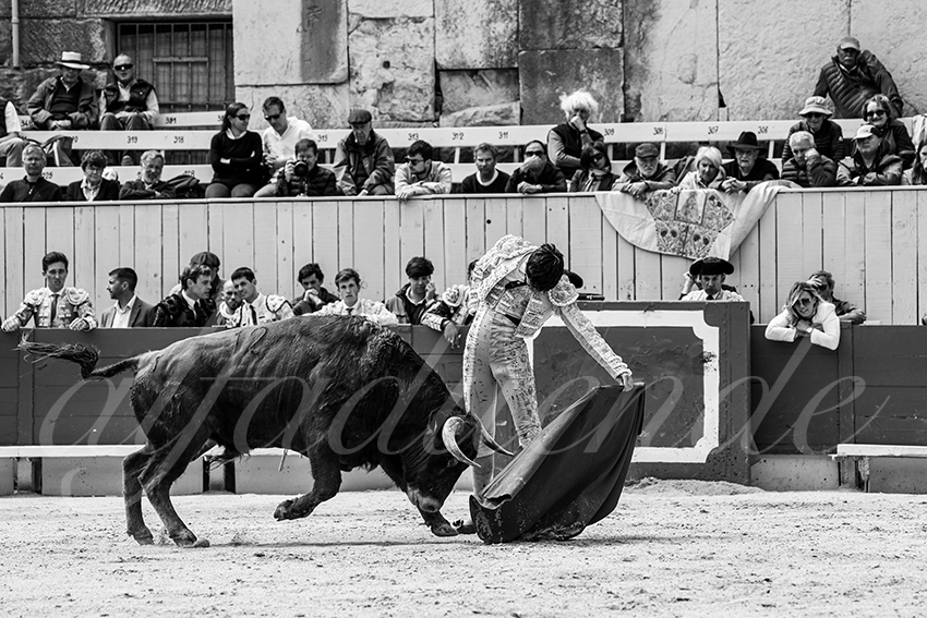 20250419 nov arles 011 fd