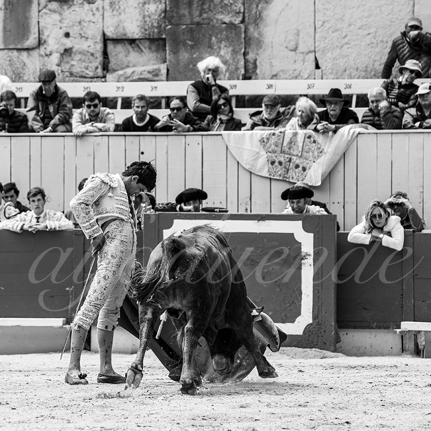 20250419 nov arles 010 fd