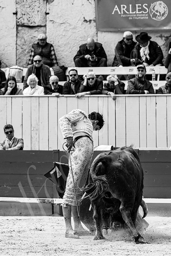 20250419 nov arles 008 fd