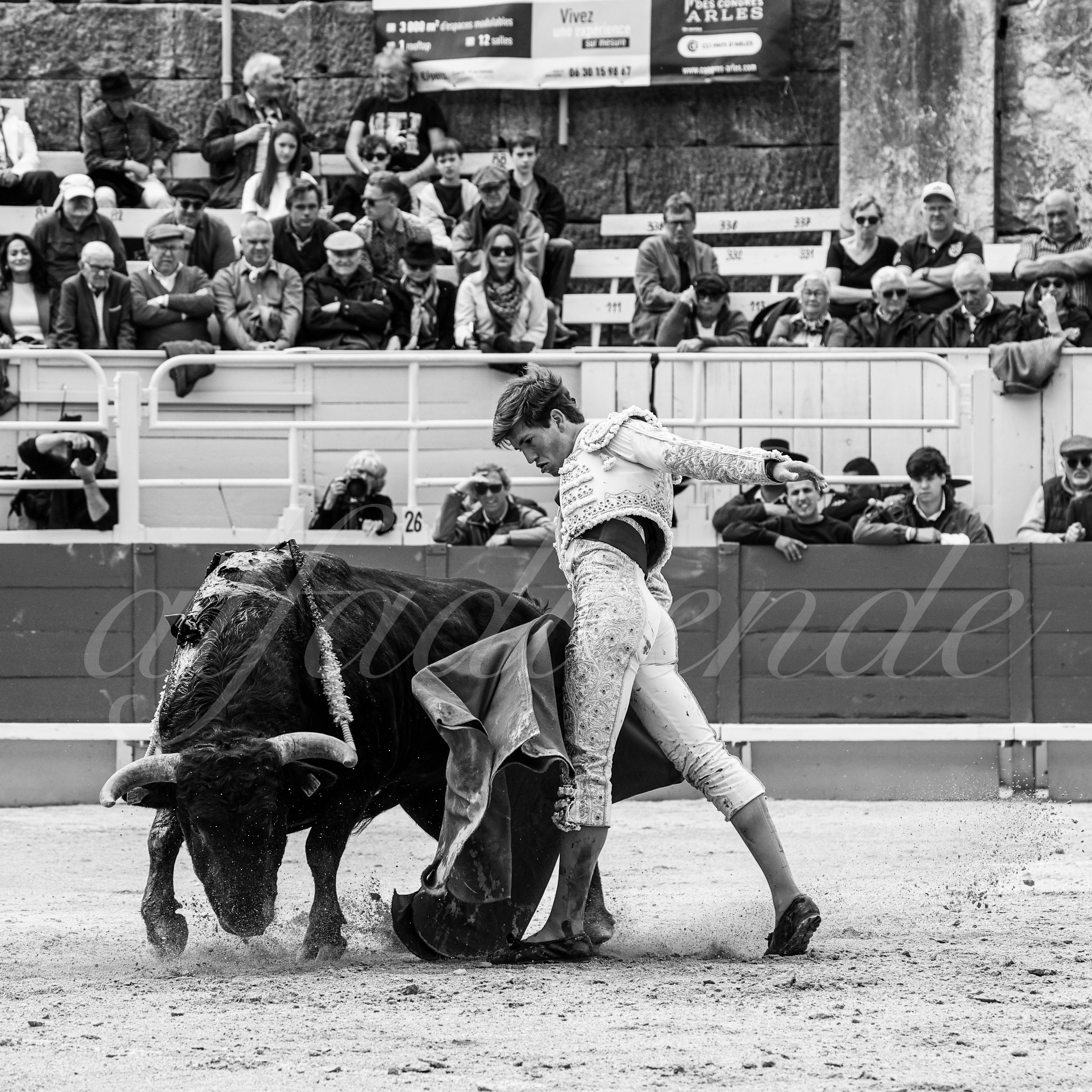 20250419 nov arles 006 fd