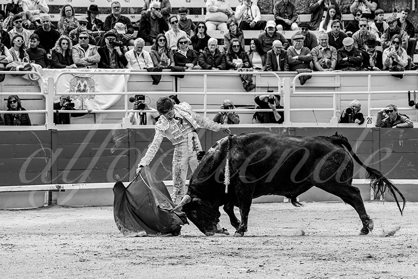 20250419 nov arles 005 fd