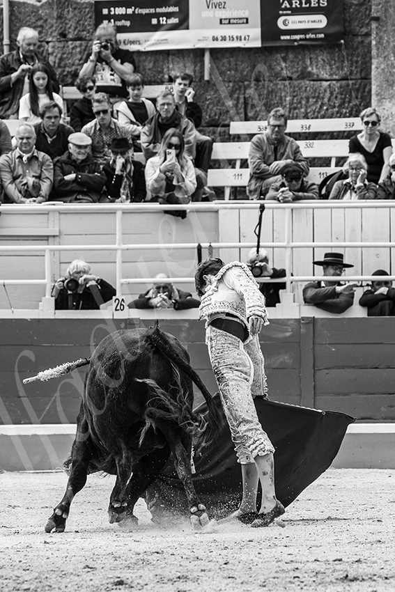 20250419 nov arles 004 fd