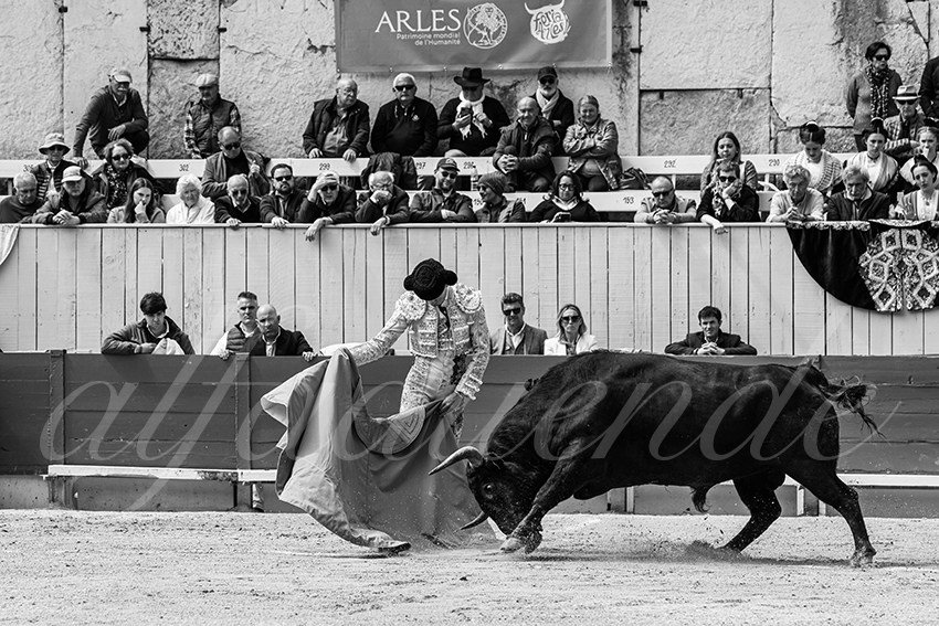 20250419 nov arles 003 fd