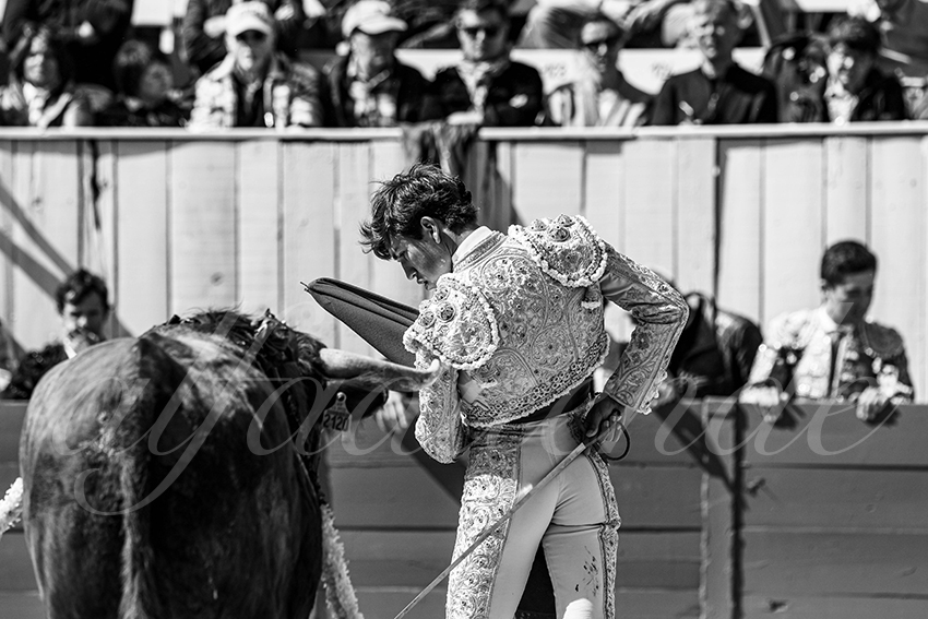 20250419 nov arles 002 fd