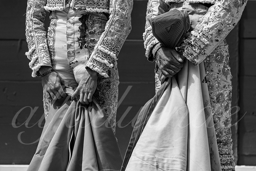 20250419 nov arles 001 fd