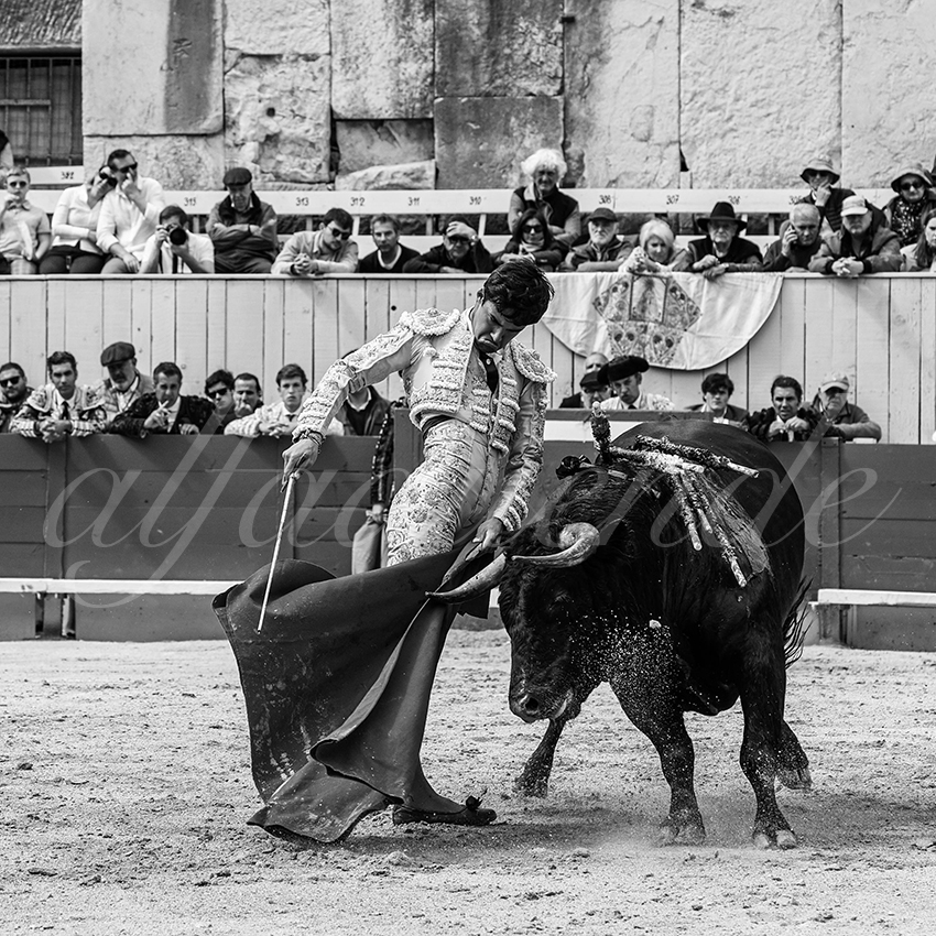 20250419 nov arles 007 fd